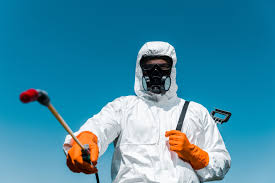 Trusted Homestead Valley, CA Pest control Experts